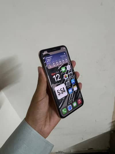 Apple iPhone XS
