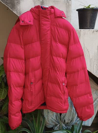 Branded Jackets / Zippers and Other Garments { WhatsApp Only }