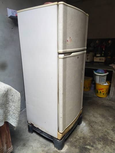 pel fridge for sale