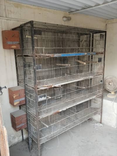 Bird Cage for Sale – Malir, Karachi