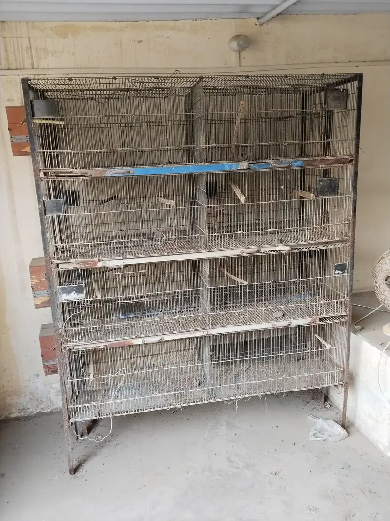 Bird Cage for Sale – Malir, Karachi — photo 2
