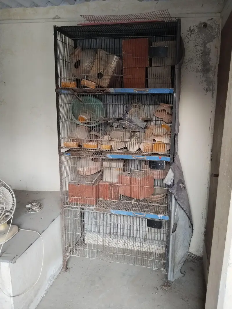 Bird Cage for Sale – Malir, Karachi — photo 3