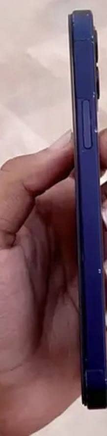 Apple iPhone 12 1