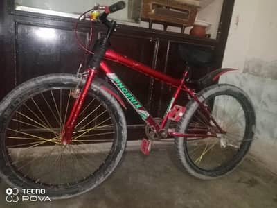 phonex fat bike