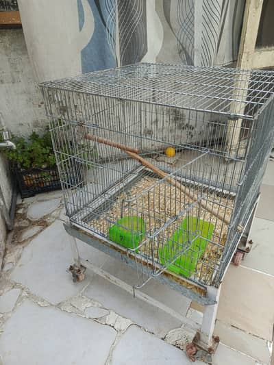 2 x 2 cage ideal for parrots