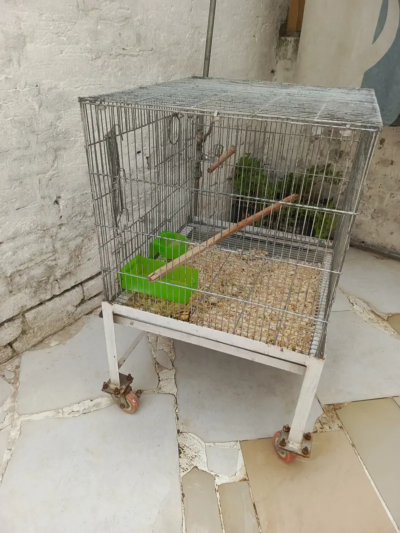 2 x 2 cage ideal for parrots — photo 2