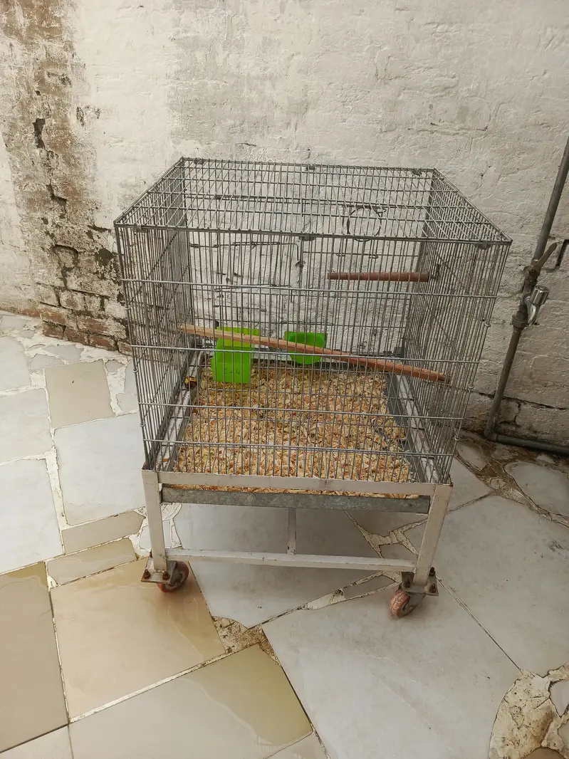 2 x 2 cage ideal for parrots — photo 4