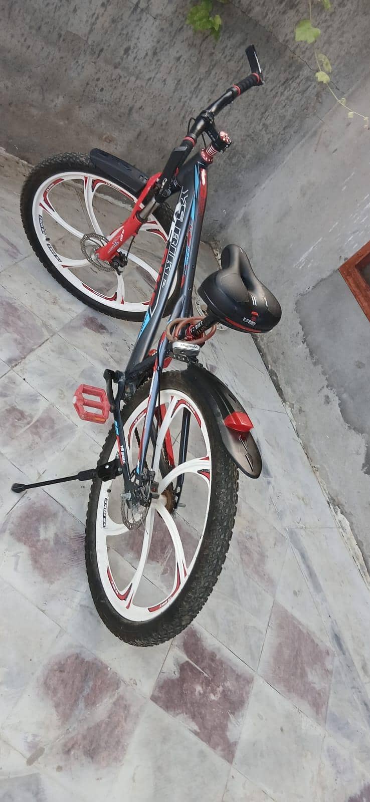 bycycle 7