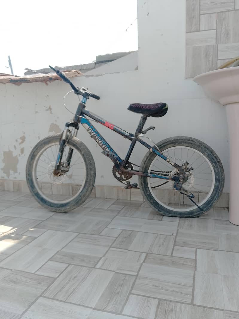 cycle 0
