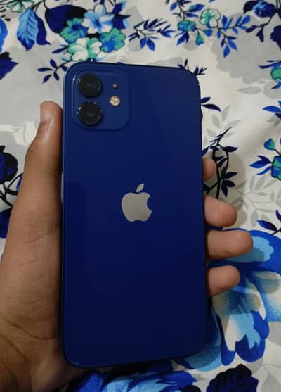 Apple iPhone 12