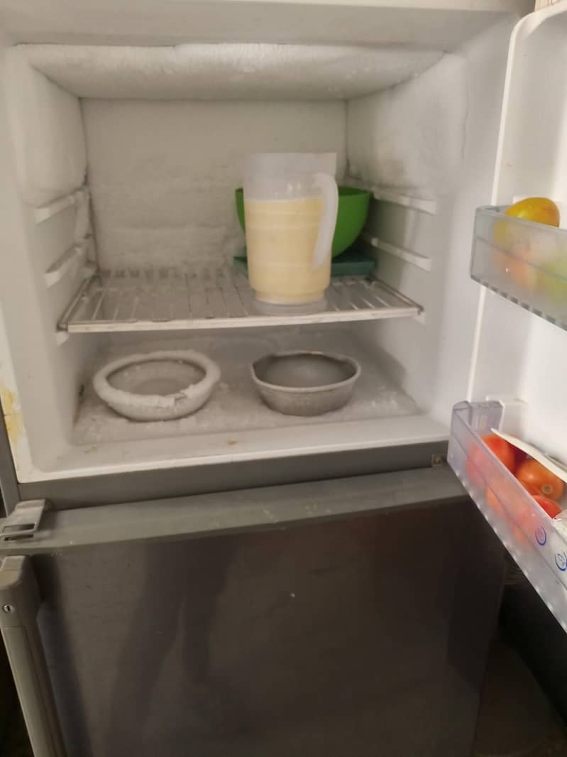 freezer 4