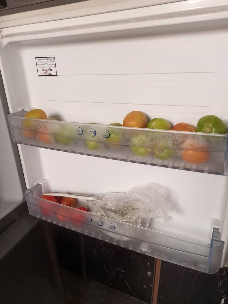 freezer 5