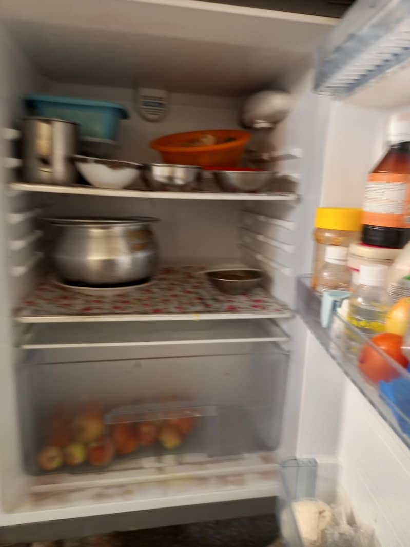 freezer 6
