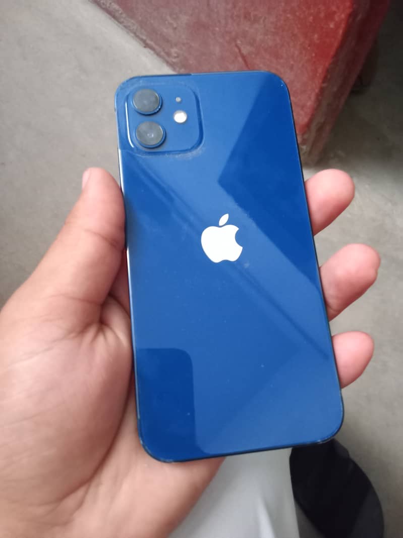 Apple iPhone 12 1