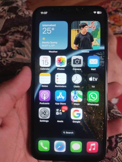Apple iPhone X