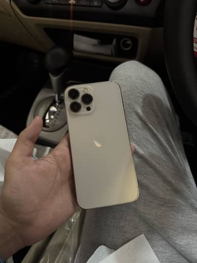Apple iPhone 13 Pro Max