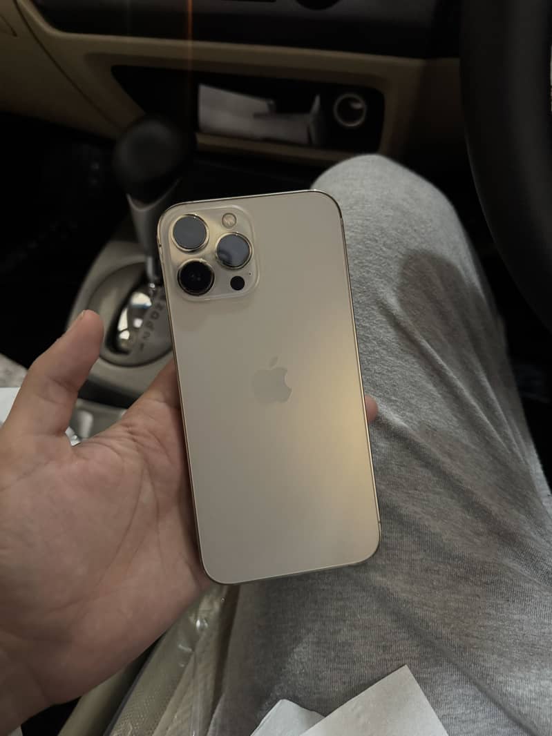 Apple iPhone 13 Pro Max 1