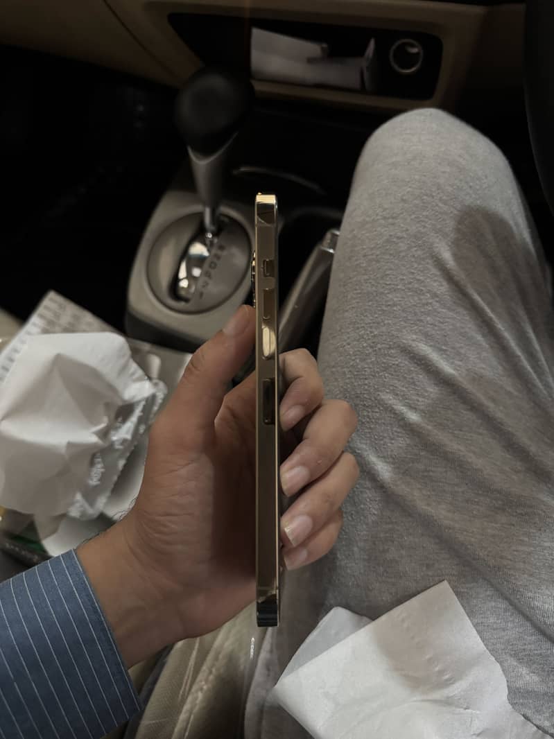 Apple iPhone 13 Pro Max 2