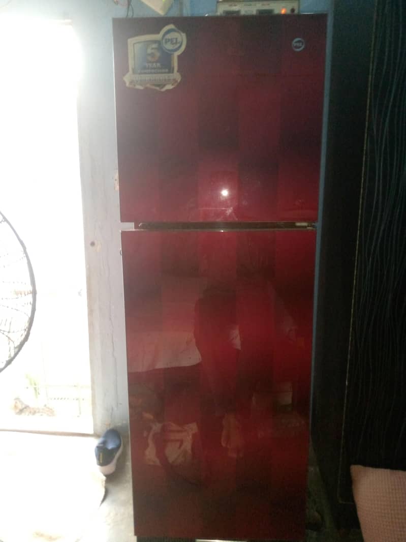 Pell fridge 1