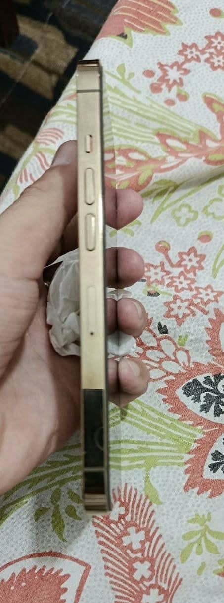 Apple iPhone 13 Pro 1
