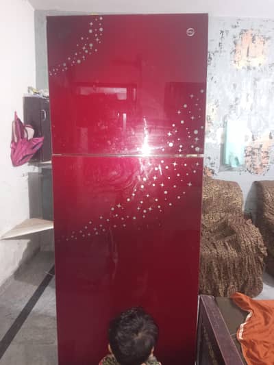 PEL REFRIGERATORS Glass Door