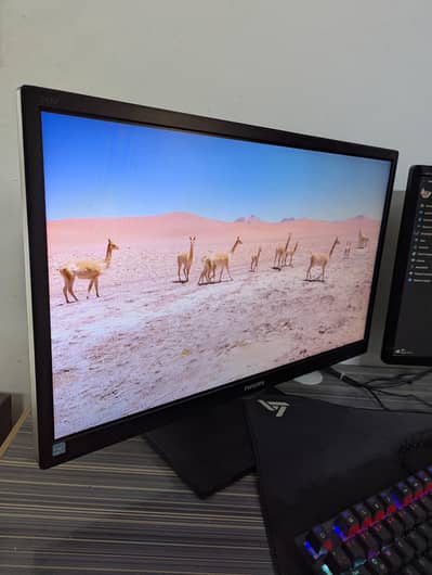 Philips 24 Inch IPS Full HD Monitor with Adjustable Stand
