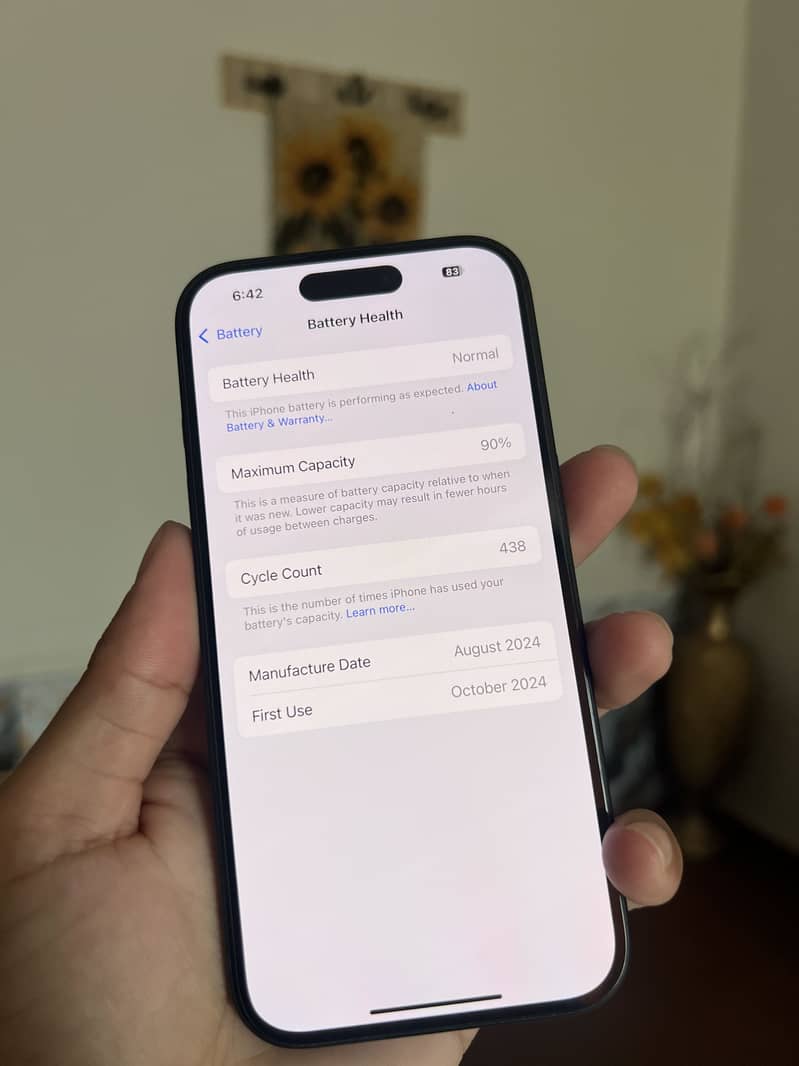 Apple iPhone 16 4