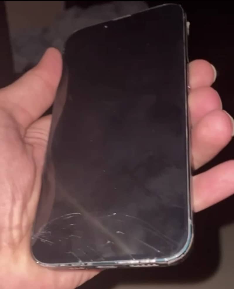 Apple iPhone 13 0