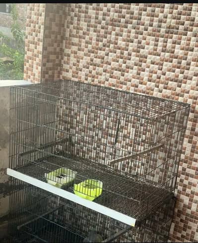 Cage / Pinjra