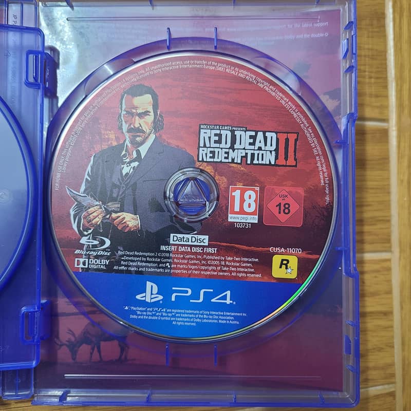 Red Dead Redemption 2 3
