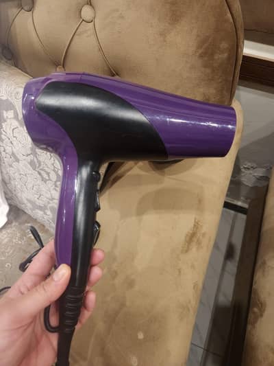 Remington Imported Hait Dryer.