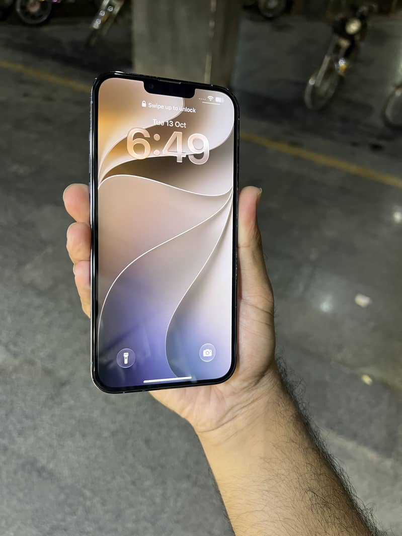 Apple iPhone 13 Pro Max 1