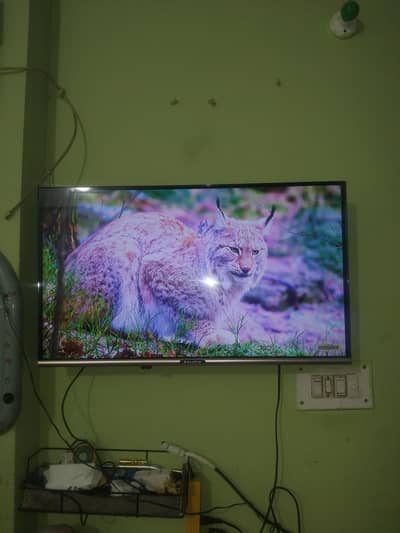 ecostar 32 inch smart led for sale