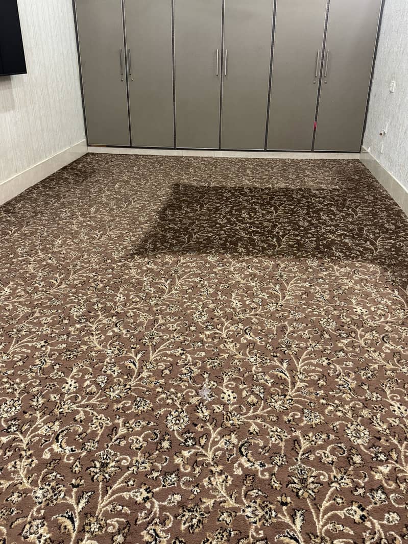 Carpet 0