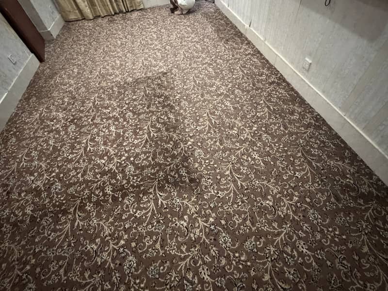 Carpet 1