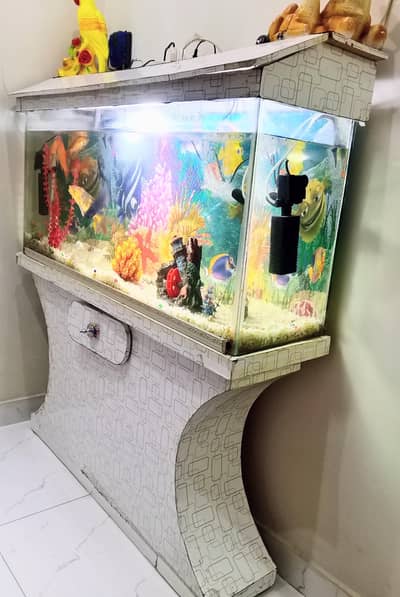 Complete Fish Aquarium Setup with Fish
