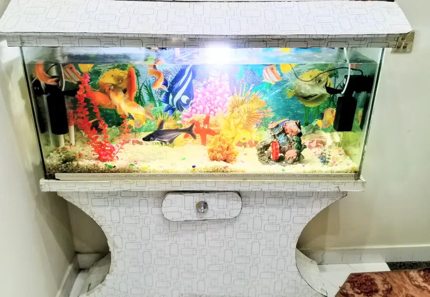 Complete Fish Aquarium Setup with Fish — photo 3