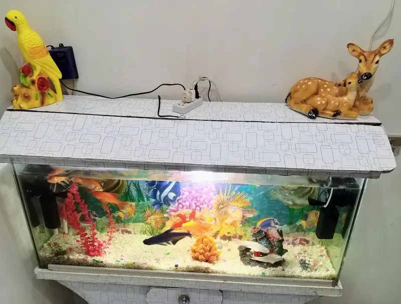 Complete Fish Aquarium Setup with Fish — photo 4
