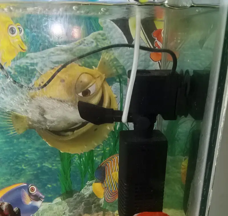 Complete Fish Aquarium Setup with Fish — photo 5