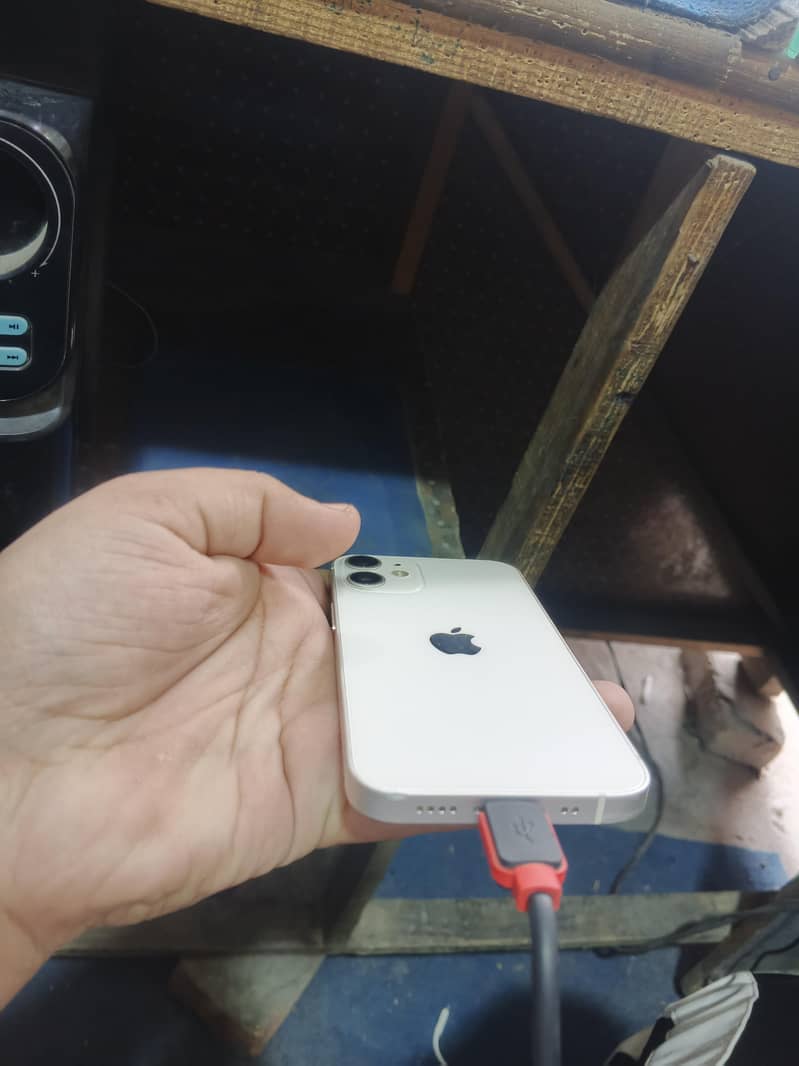 Apple iPhone 12 mini 1