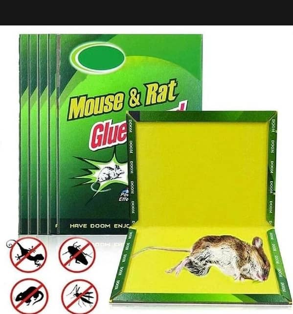 T   Mouse Catch ( Pack Of 3 )