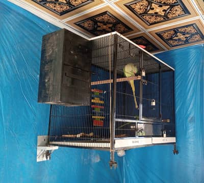 Cage, Breeding Box