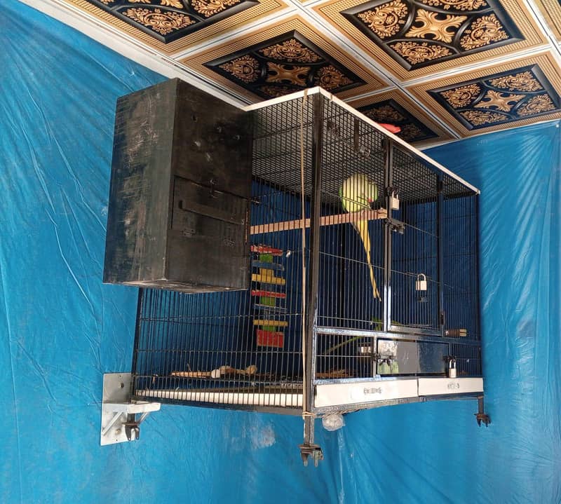 Cage, Breeding Box 0
