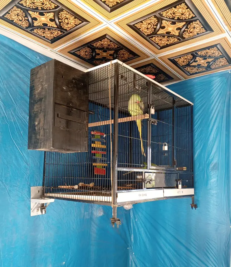 Cage, Breeding Box — photo 2