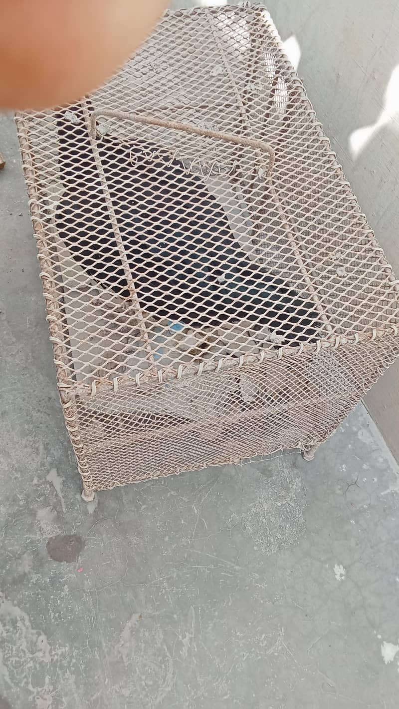 cages 2