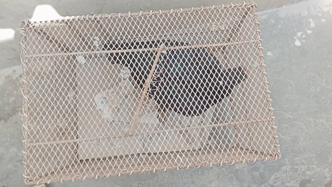 cages 3