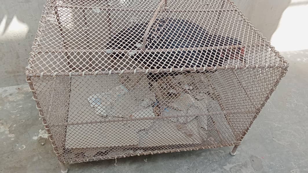 cages 4