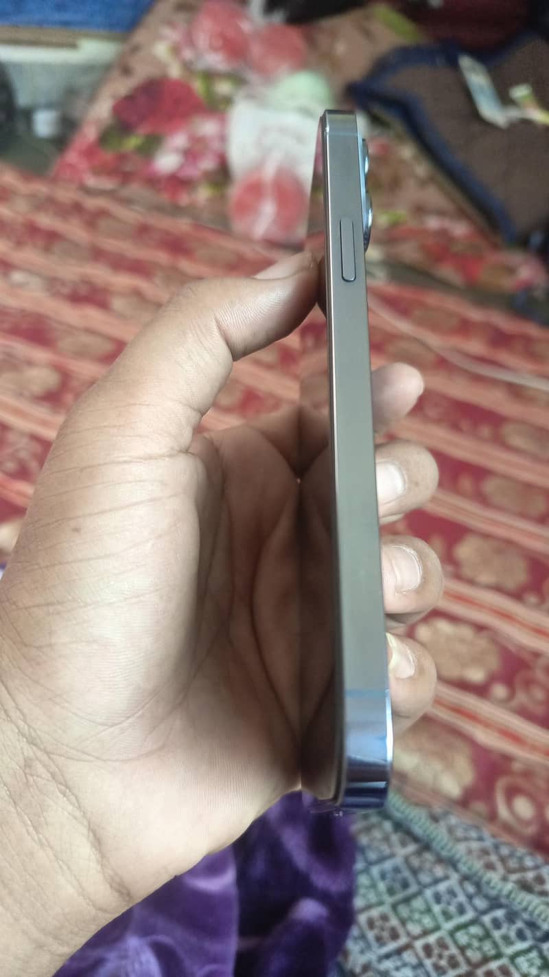 Apple iPhone 13 Pro Max 2