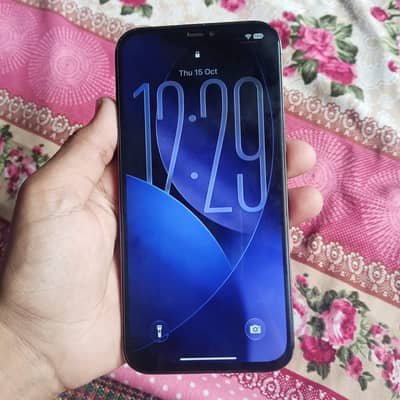 Apple iPhone 12 Pro Max