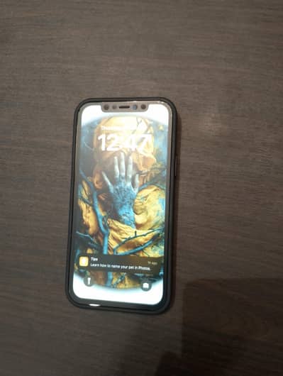 Apple iPhone 12 Pro